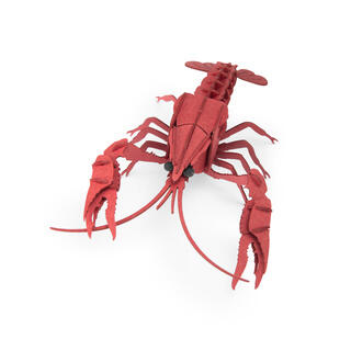 3d Puzzle Animali del mondo
