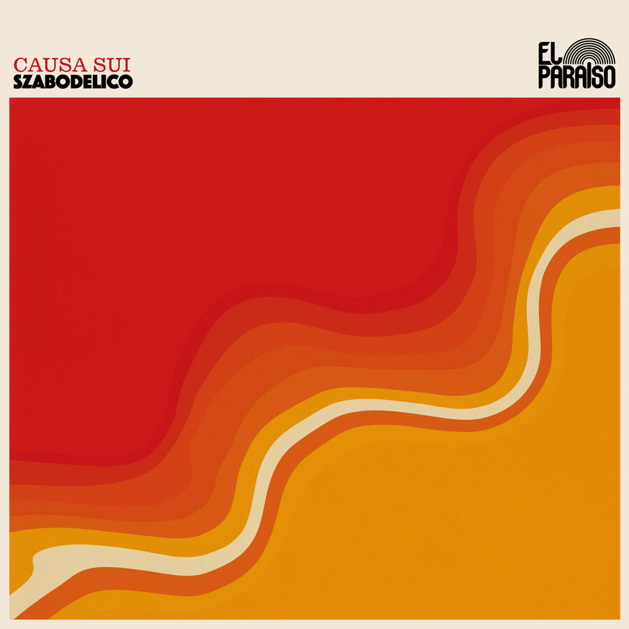 CAUSA SUI - SZABODELICO -
