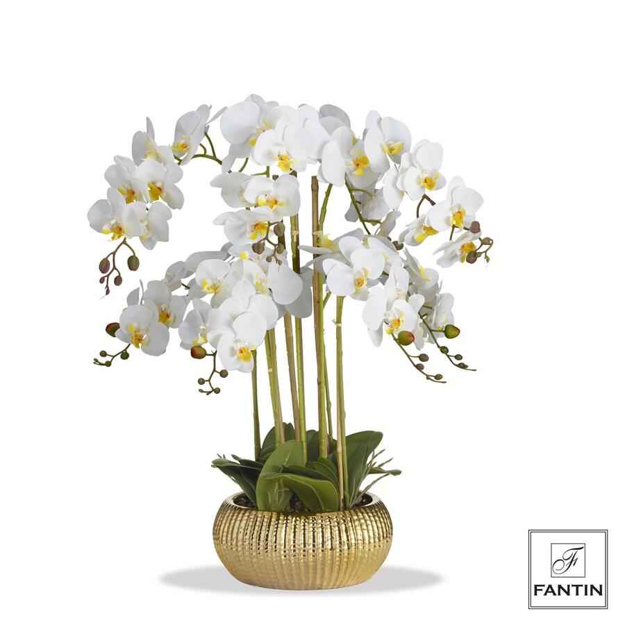Fantin - Orchidea Bianca 8 Rami Real Touch con Vaso Ceramica Oro Ø33xH75 cm