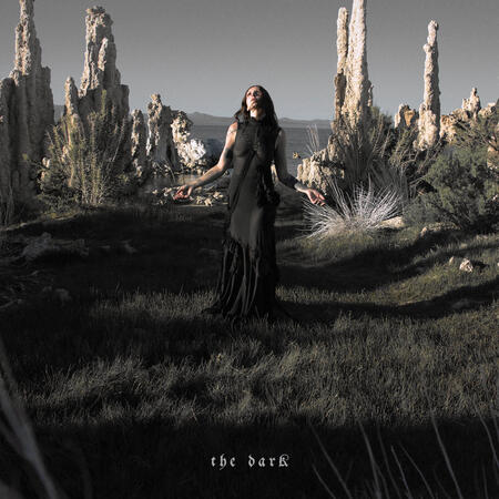 CHELSEA WOLFE - THE DARK - 