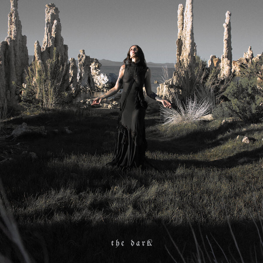 CHELSEA WOLFE - THE DARK - 