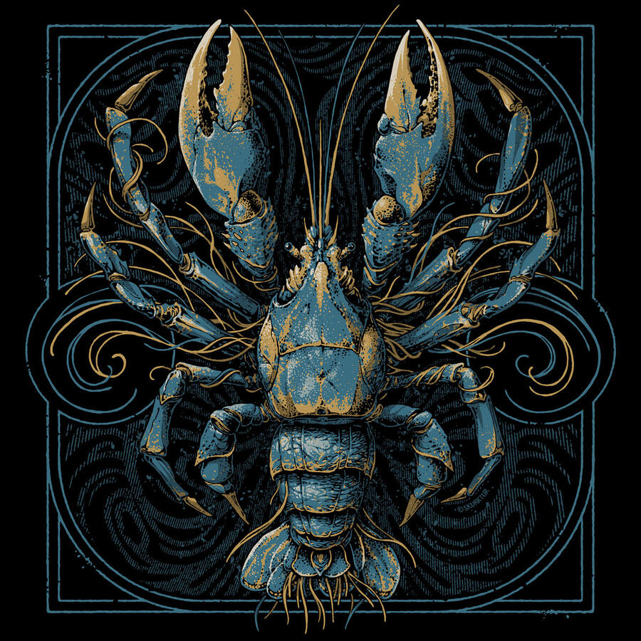 VV AA  - THE DUNGEON TAPES -