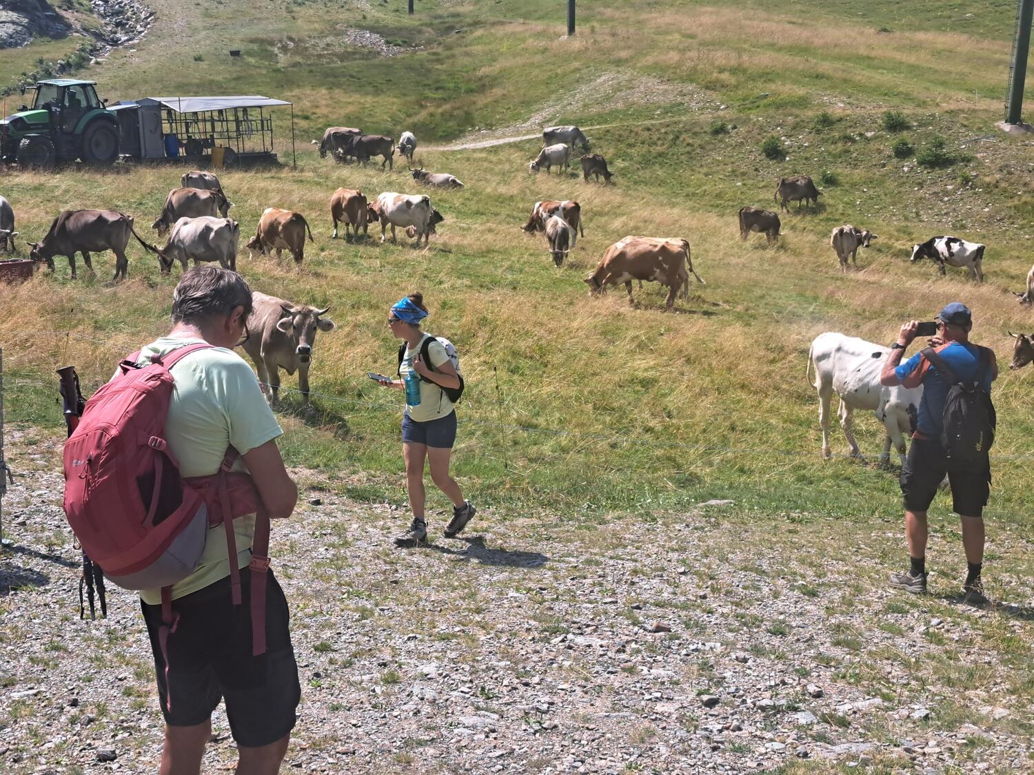VENERDI' 28 AGOSTO Camminata al chiaro di luna con cena in rifugio