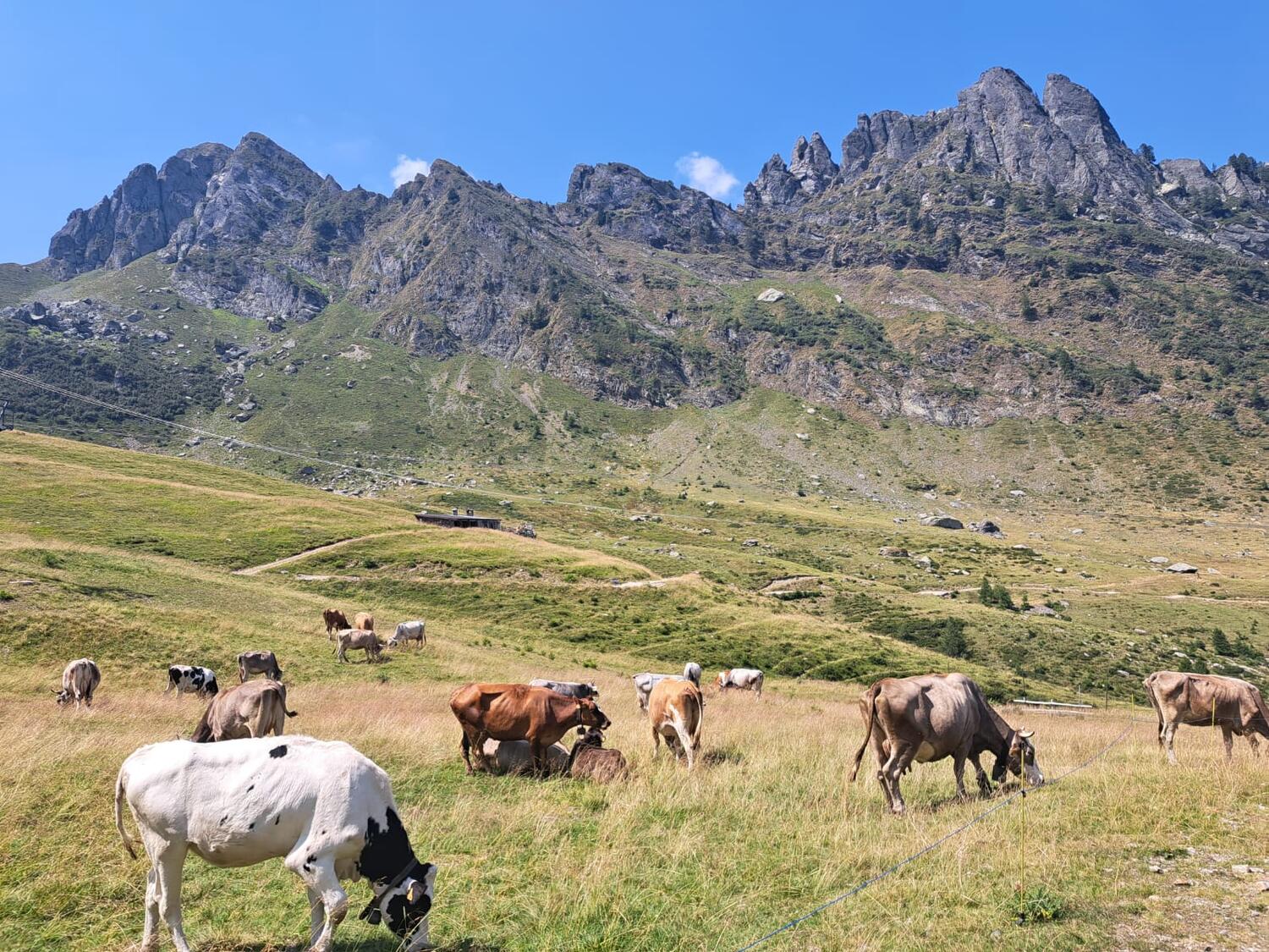VENERDI' 28 AGOSTO Camminata al chiaro di luna con cena in rifugio