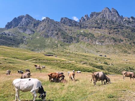 VENERDI' 28 AGOSTO Camminata al chiaro di luna con cena in rifugio