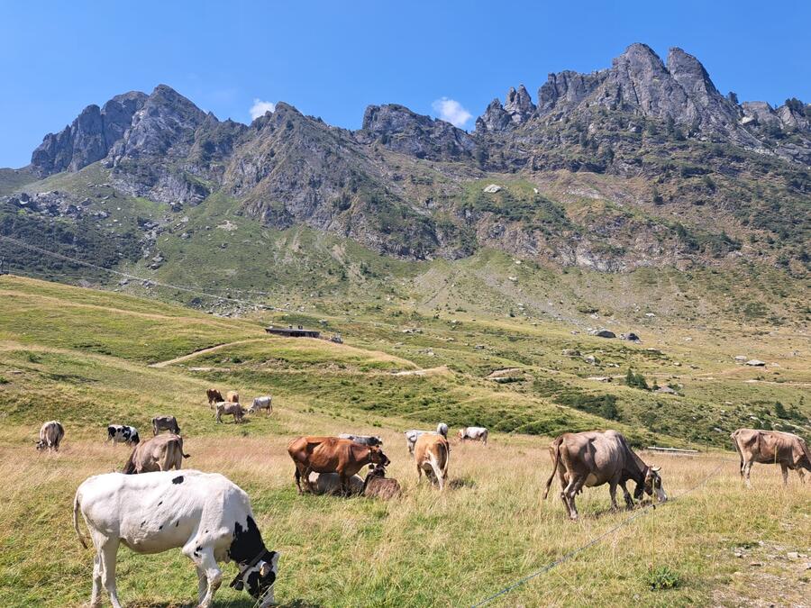 VENERDI' 28 AGOSTO Camminata al chiaro di luna con cena in rifugio