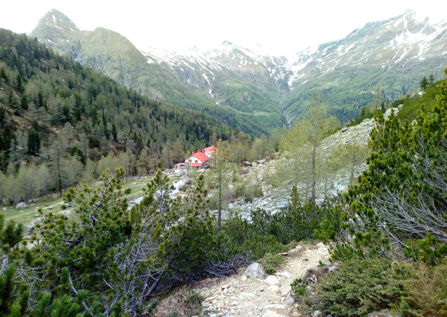 lun. 10 e  mar. 11 AGOSTO           Escursione in quota con NOTTE IN ALPEGGIO  - Valmalenco (SO) 
