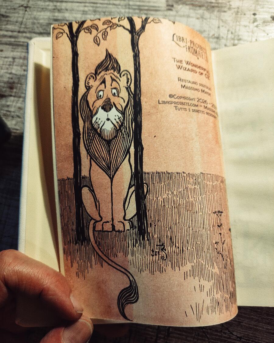 The Wonderful Wizard of OZ - L. Frank Baum, pictures by W. W. Denslow - First Edition, Chicago - 1900
