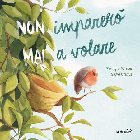 NON IMPARERO' MAI A VOLARE