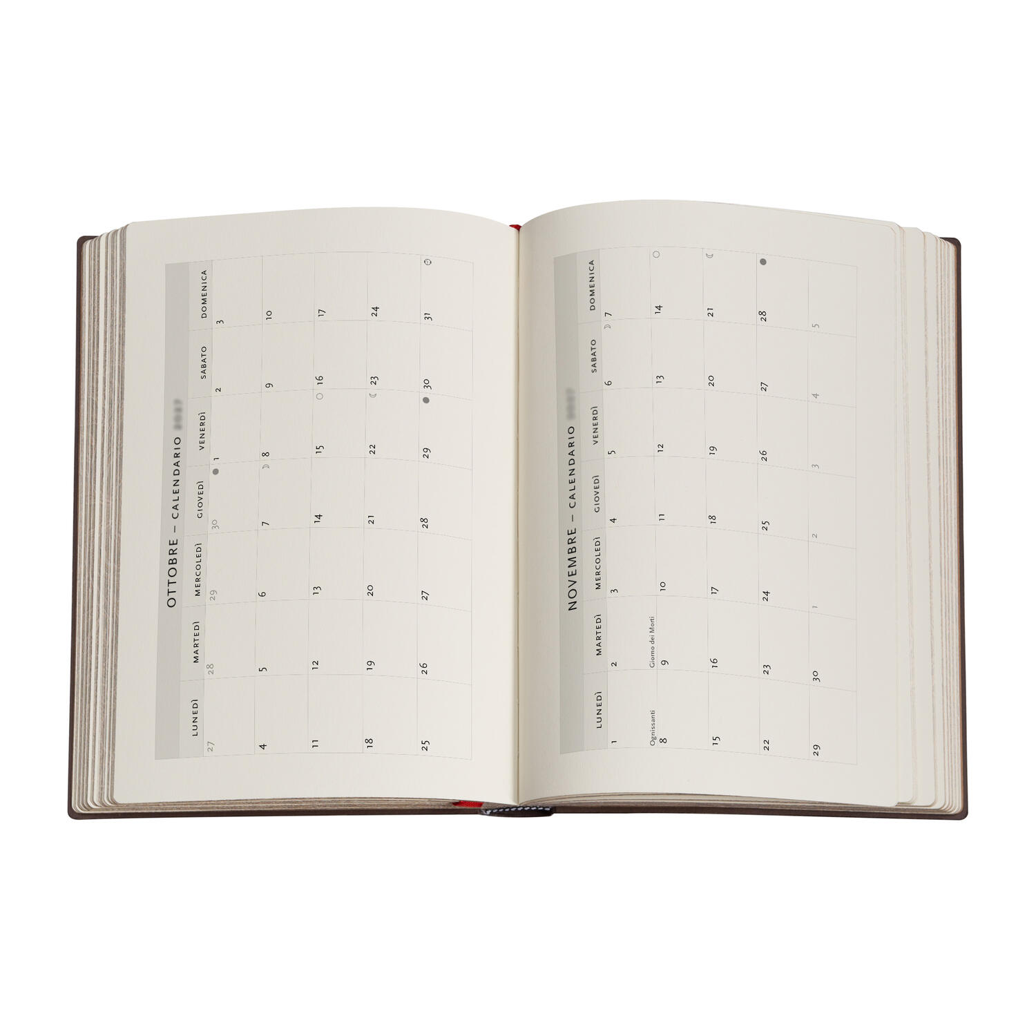 Agenda Settimanale 2027 "Anemone" Midi – 12,7 × 17,8 cm PAPERBLANKS