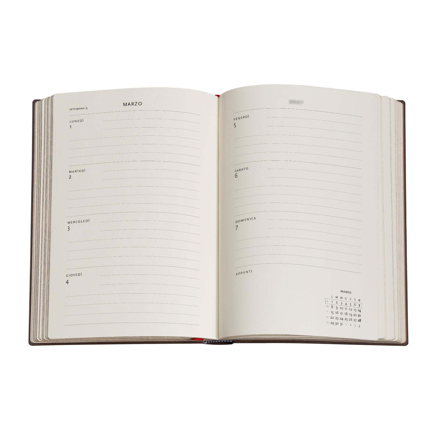 Agenda Settimanale 2027 "Anemone" Midi – 12,7 × 17,8 cm PAPERBLANKS