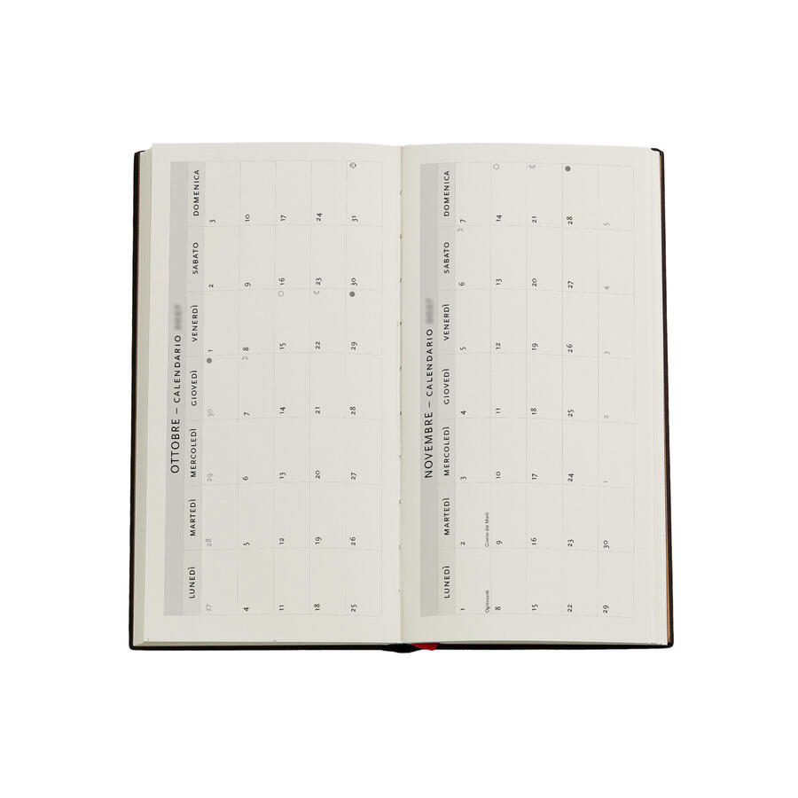 Agenda Settimanale 2027 "Età d'Oro della Prosperità" Slim – 9,5 × 18 cm PAPERBLANKS