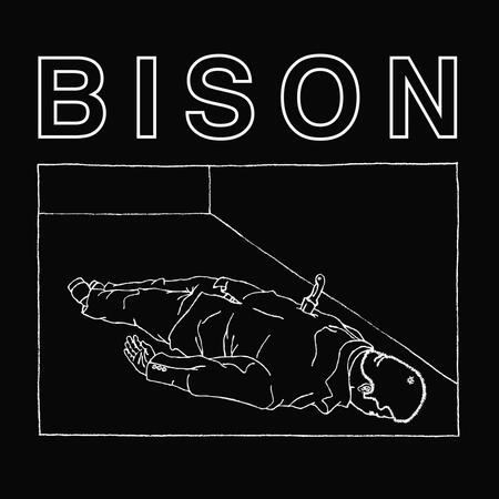 BISON  -1.000 NEEDLES -