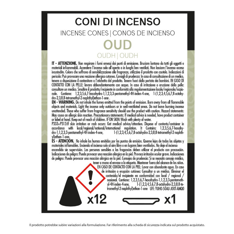 IRGE CONO INCENSO 12 PEZZI OUD