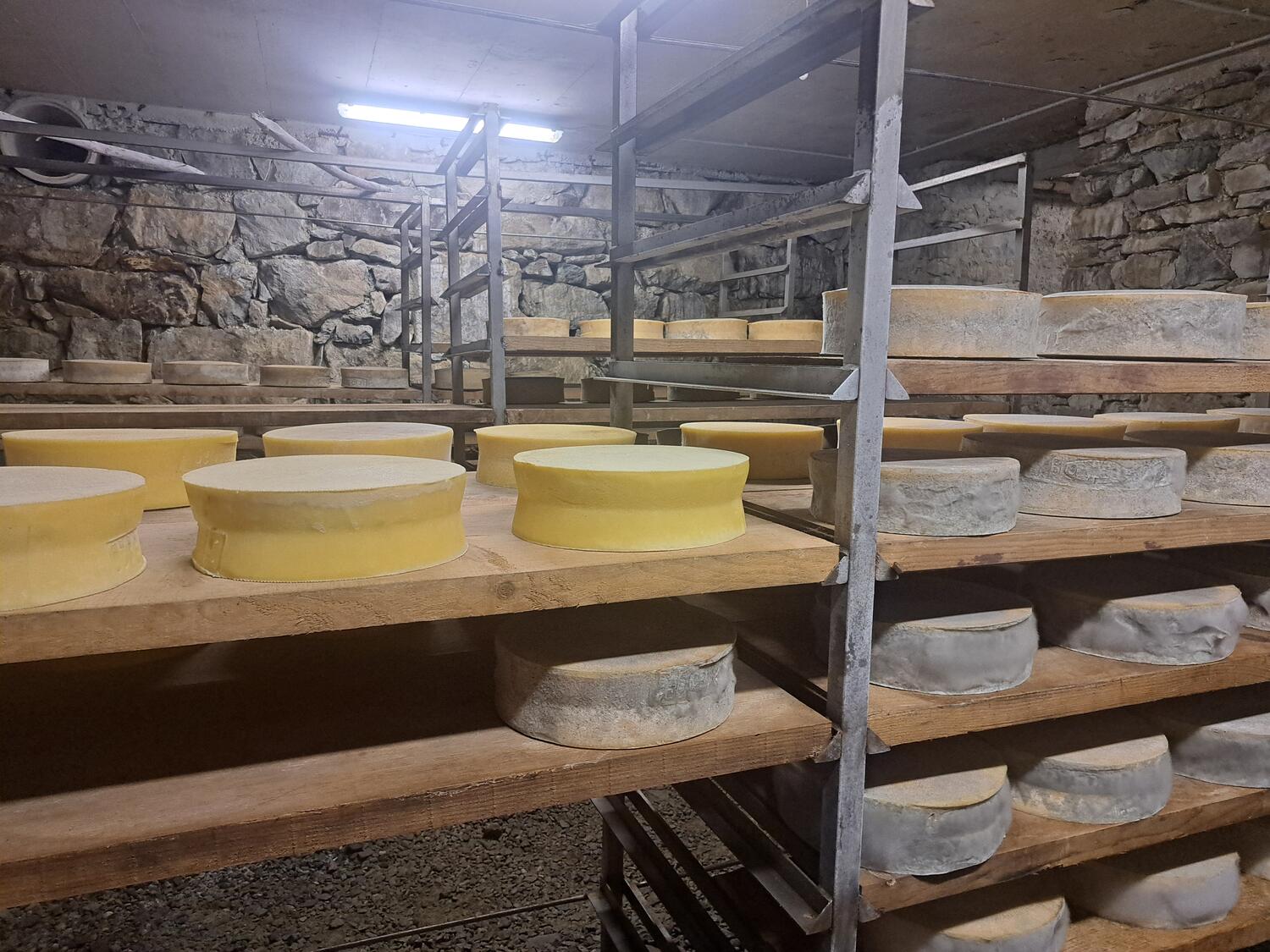 13 e 14 agosto TENDATA IN ALPEGGIO NELLE OROBIE VALTELLINESI (SO)