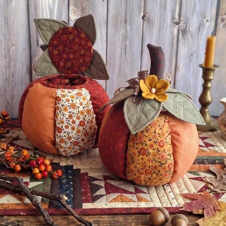 kit zuccotta - zucca contenitore