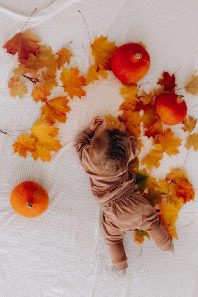 Maglione in velluto di cotone biologico con volpe ricamata (Baby)