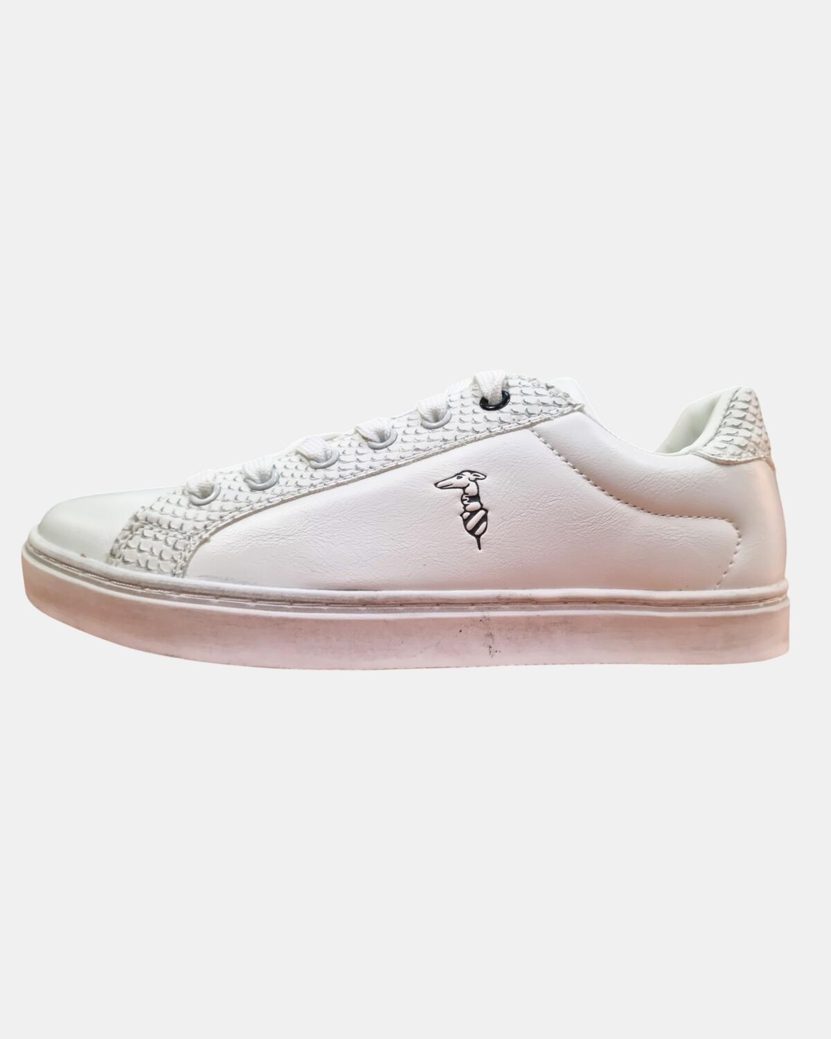 Lotto misto Sneakers Donna Trussardi - assortimento asseriato completo da 25, 50 o 100 pz.