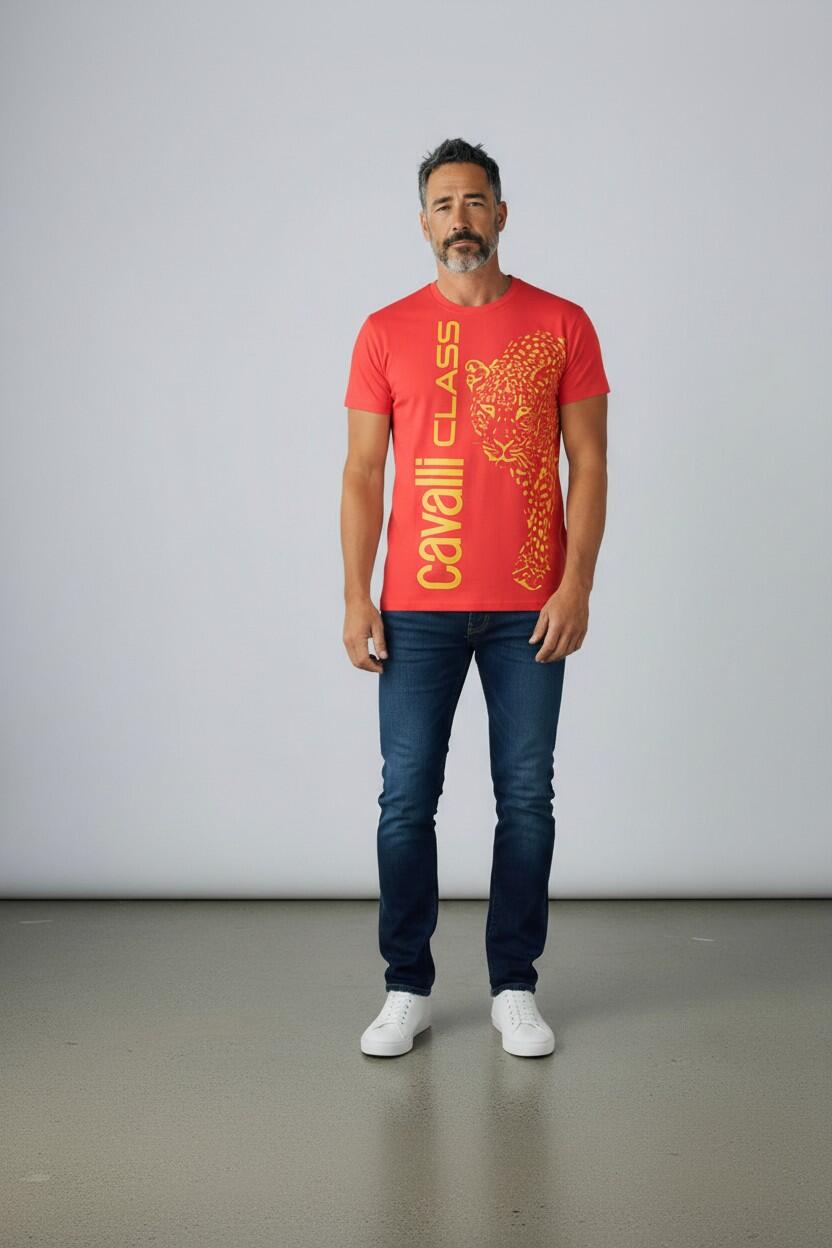 Lotti T-Shirt Uomo Brand Cavalli Class da 25, 50 o 100 pz.