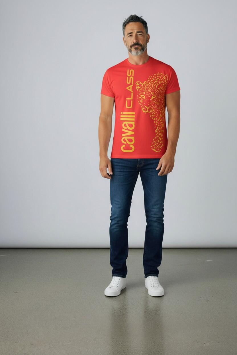 Lotti T-Shirt Uomo Brand Cavalli Class da 25, 50 o 100 pz.