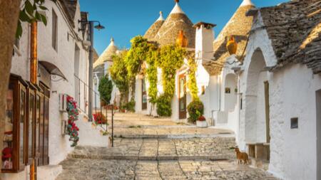 🌞🚌 4 GIORNI IN PUGLIA! 🌊✨