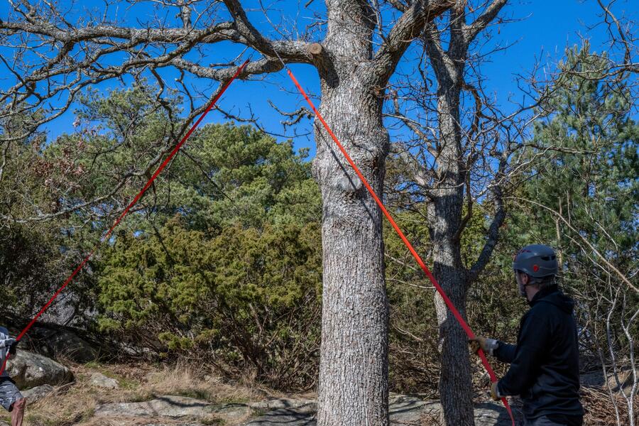 NORDIC POCKET SAW Arborist V.2 – Sega a Catena per Rami in Quota