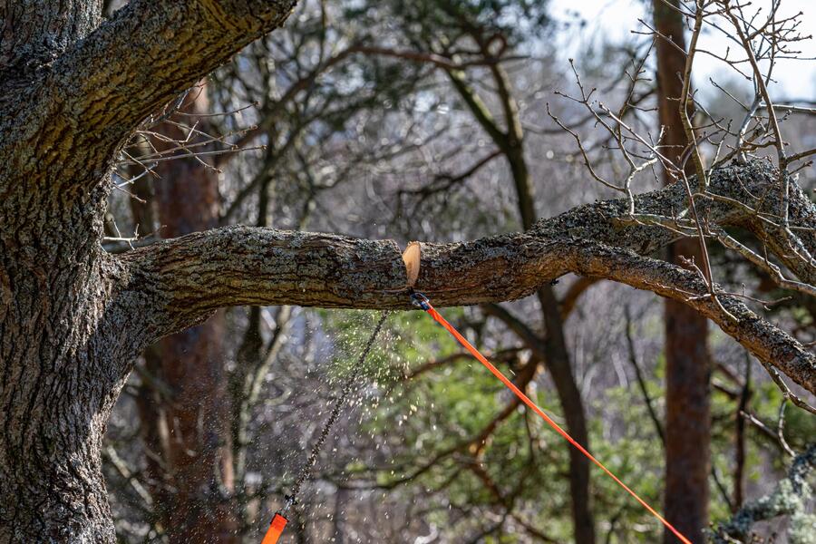NORDIC POCKET SAW Arborist V.2 – Sega a Catena per Rami in Quota