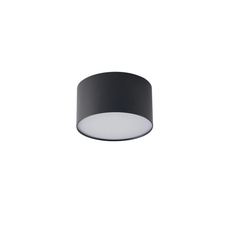 Plafoniera Foris IP44