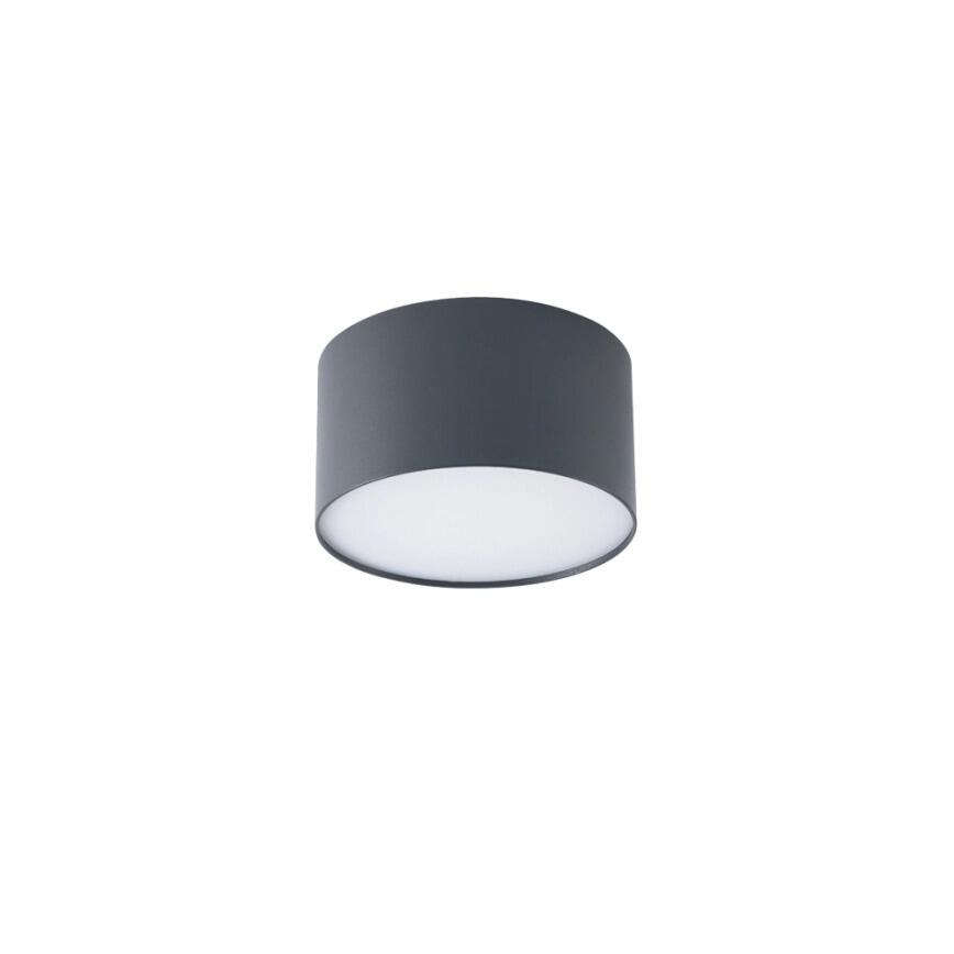 Plafoniera Foris IP44