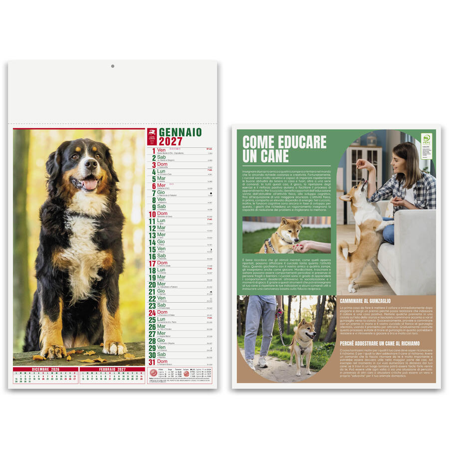 Calendario Illustrato CANI E GATTI Personalizzato PA108 da 100 pz