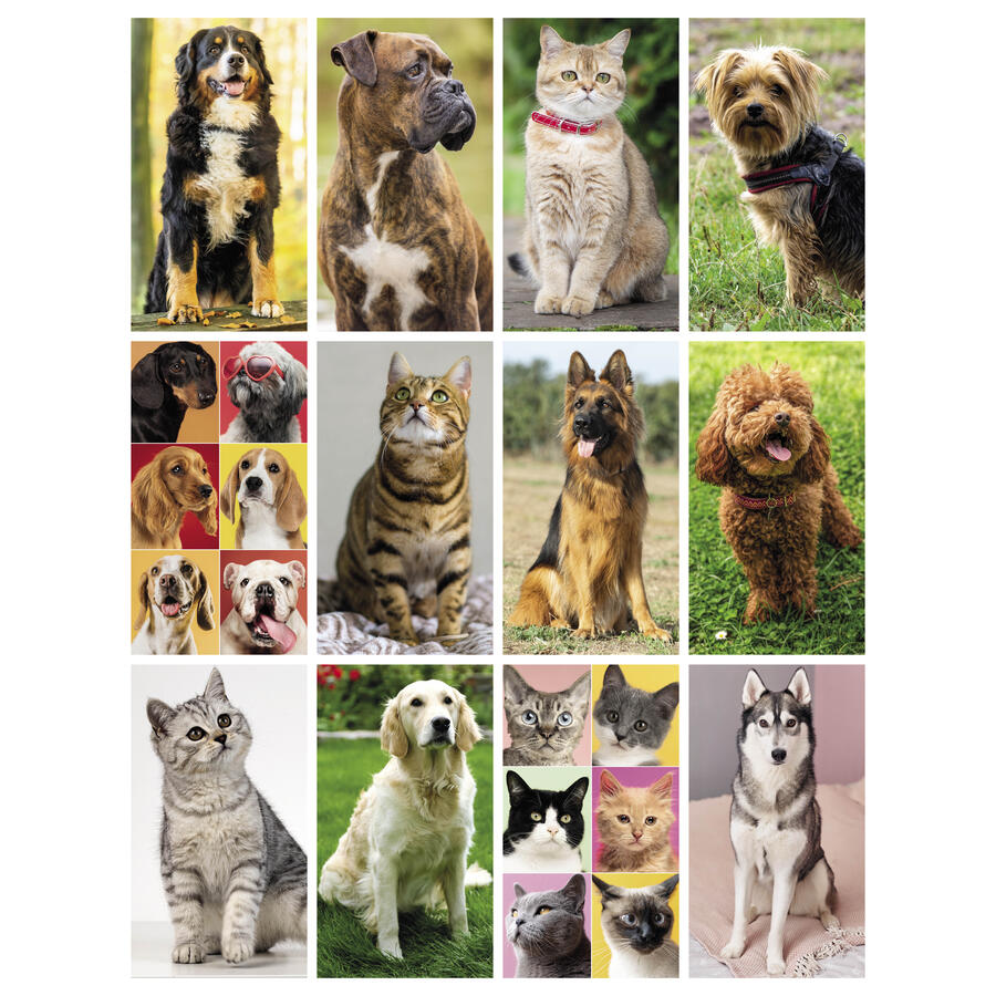 Calendario Illustrato CANI E GATTI Personalizzato PA108 da 100 pz