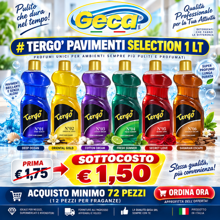 TERGO' PAVIMENTI 1 LT (Confezione da 72 pezzi) 