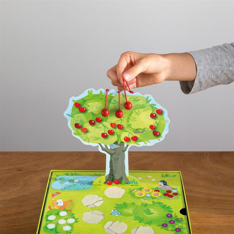 Il mini frutteto - La raccolta delle ciliegie