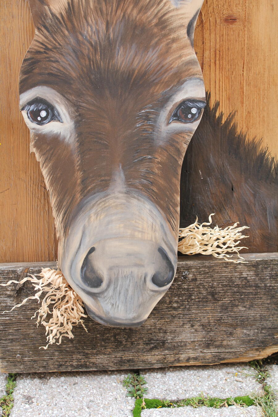Quadro dipinto a mano raffigurante un asino che esce dalla tavola 70x52cm