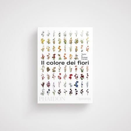 Il colore dei fiori