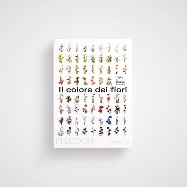 Il colore dei fiori