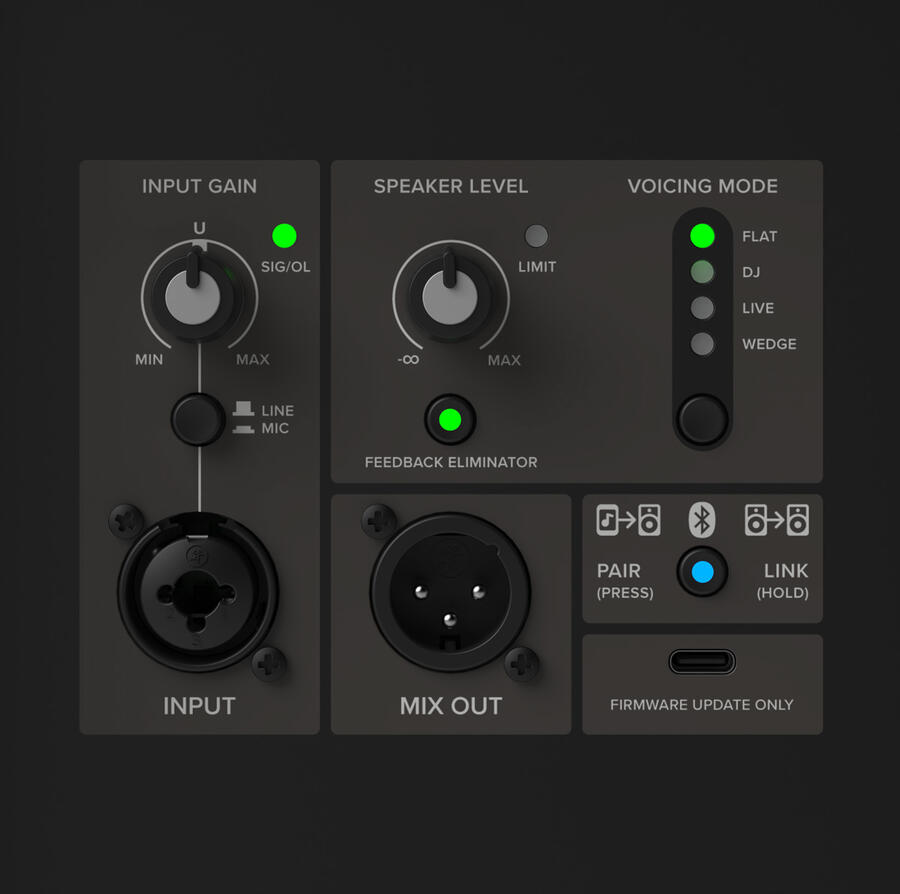 Mackie THRASH 215 V2