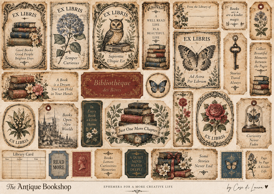 The Antique Bookshop kit digitale 
