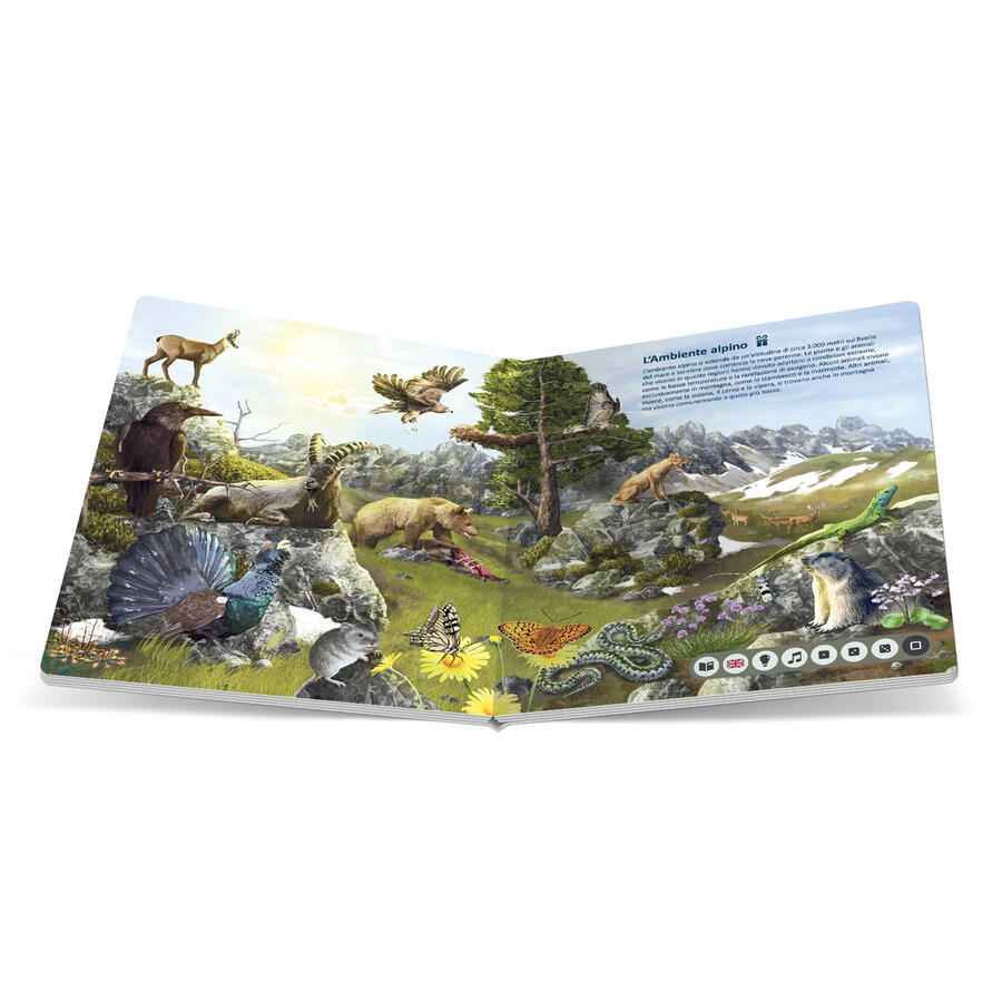 Starter Pack: Il Mondo degli Animali