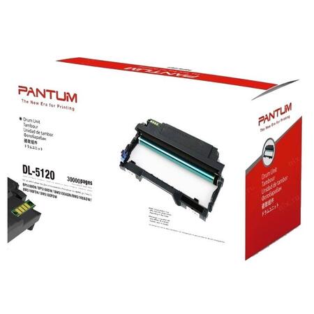 Tamburo DL-5120 da 30.000 pg Originale PANTUM