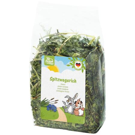 JR FARM Piantaggine (spitzweger) - 100 gr. -