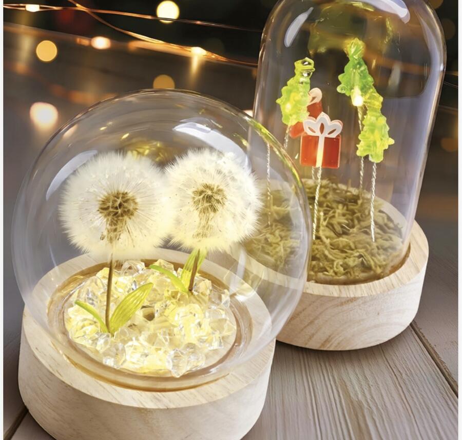 Wald Cloche in Vetro con Base in Legno e LED “Soffioni” — fiore vero stabilizzato, Ø10x11h cm