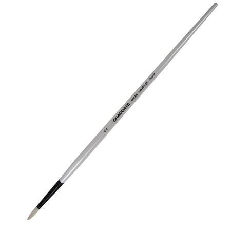 Pennello Graduate in Setola Naturale Tondo Lungo Manico Lungo DALER ROWNEY - conf. 3 pz