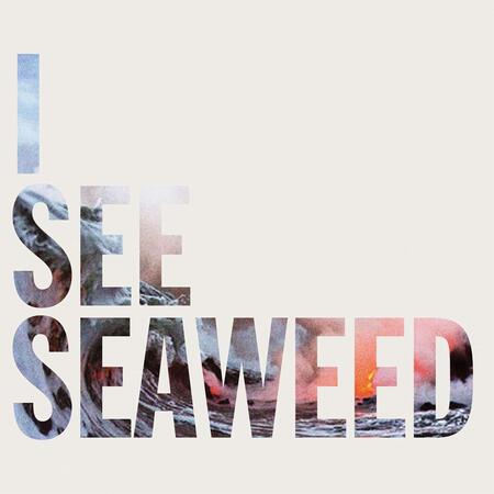 THE DRONES - I SEE SEAWEED - 