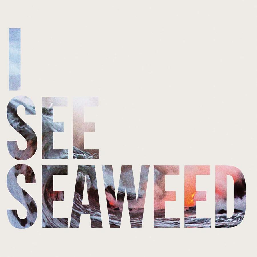 THE DRONES - I SEE SEAWEED - 