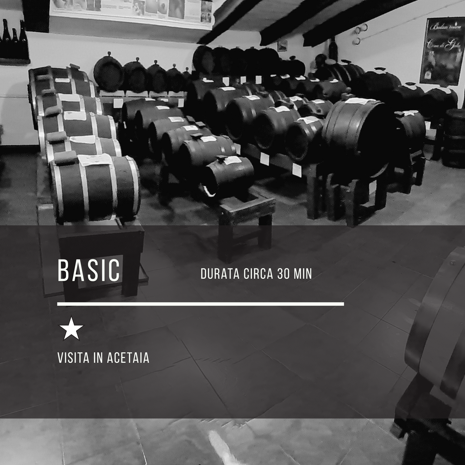 Visita in acetaia