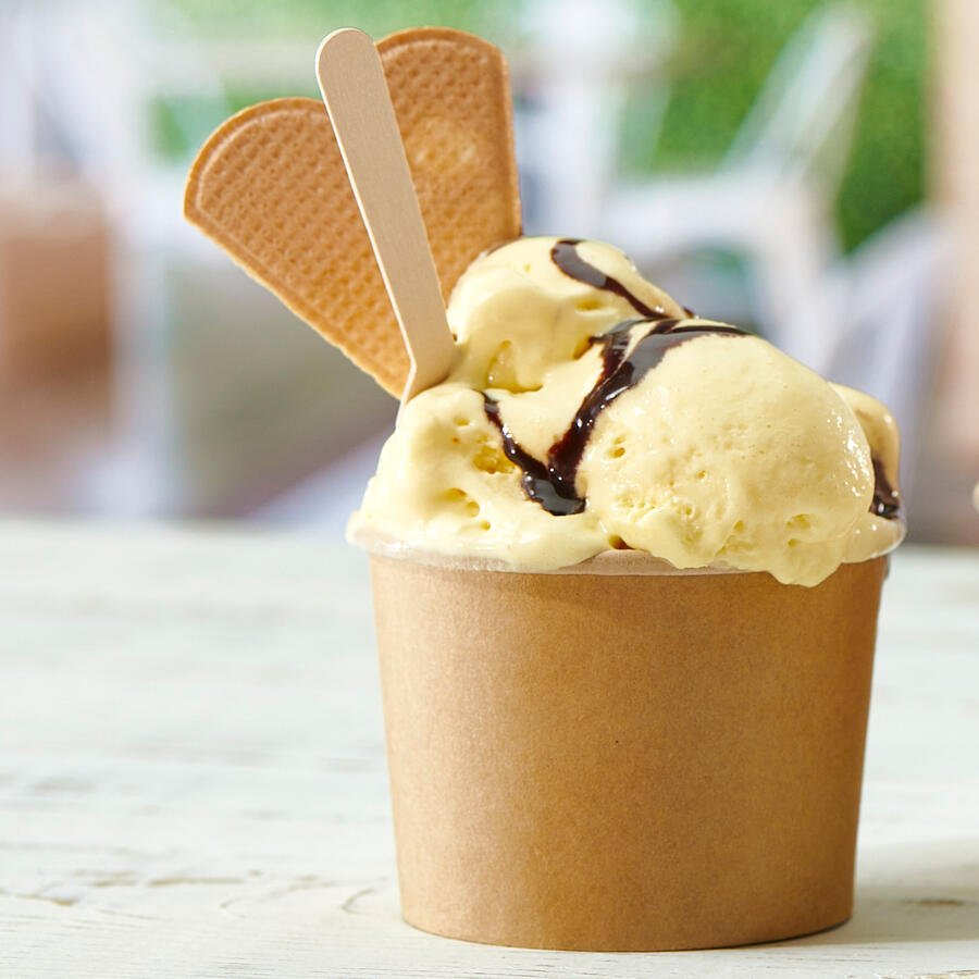 Coppetta per Gelato in Carta Monouso da Asporto LEONE