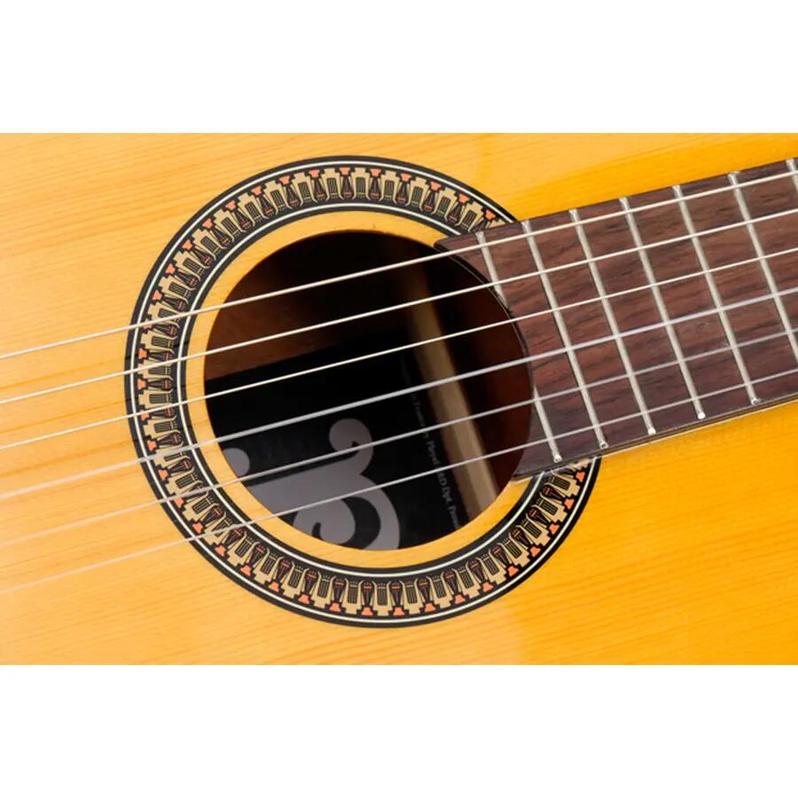 Pleyel Etude P100 Chitarra Classica 4/4