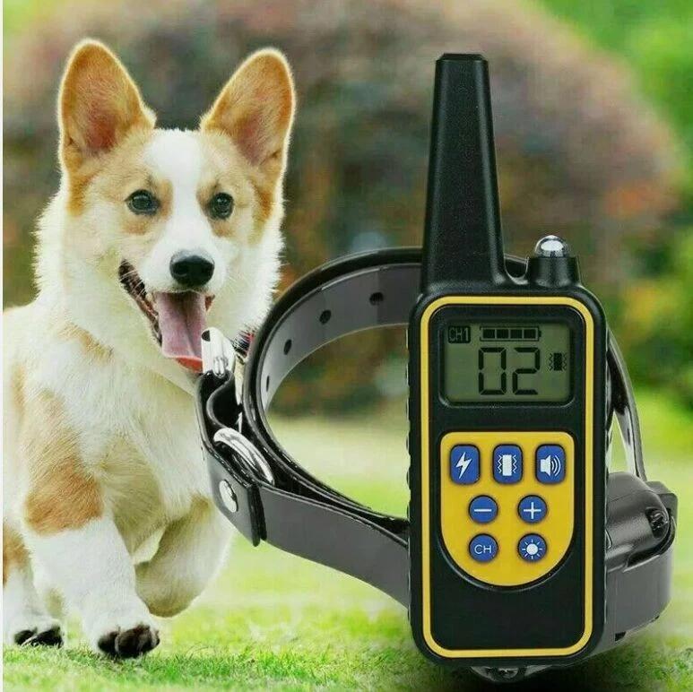 Collare Elettronico per Cani con Telecomando Portata 800m