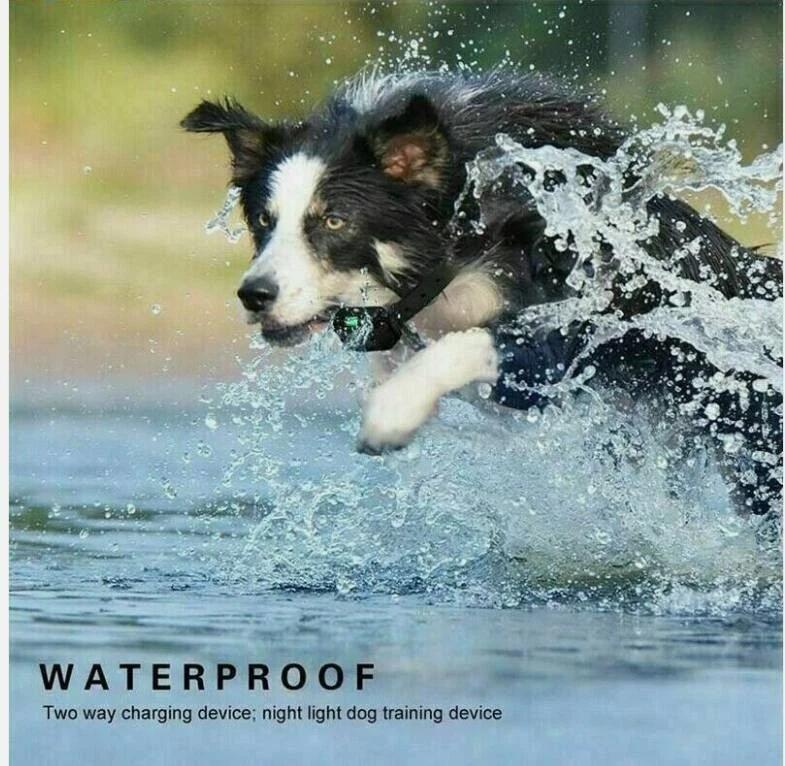 Collare Elettronico per Cani con Telecomando Portata 800m